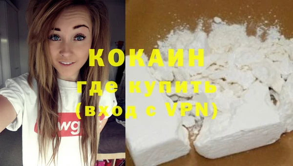 крисы Надым