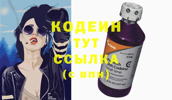 крисы Надым