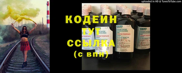 крисы Надым