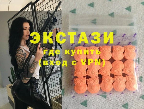 крисы Надым