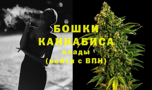 крисы Надым