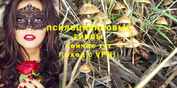 крисы Надым