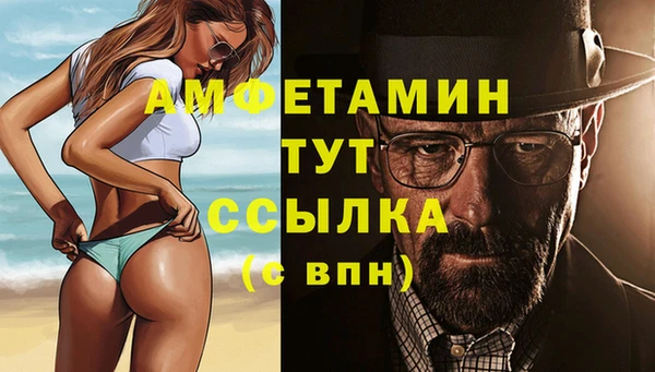 крисы Надым