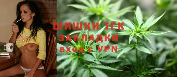 крисы Надым